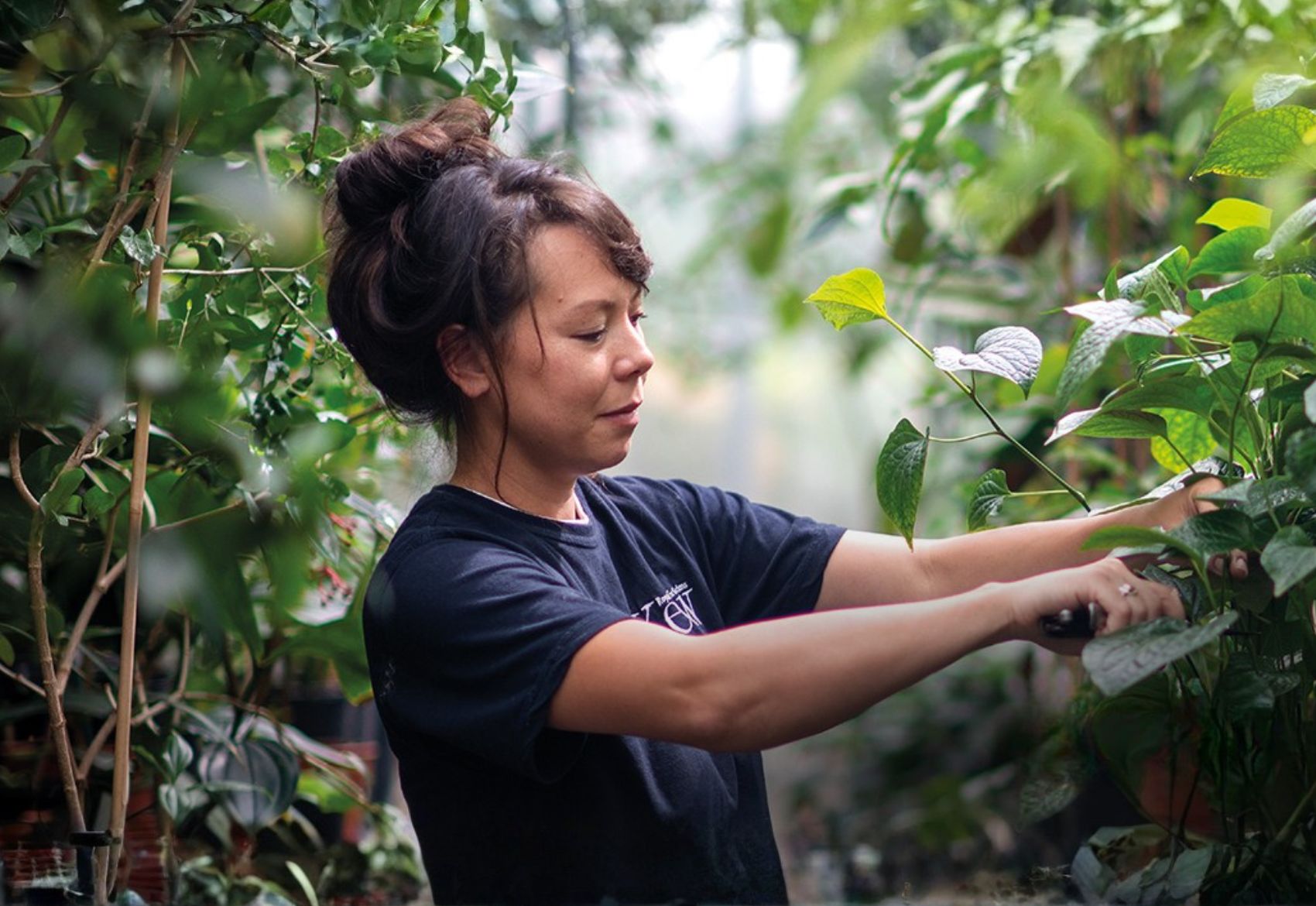 Leave a Gift to Kew