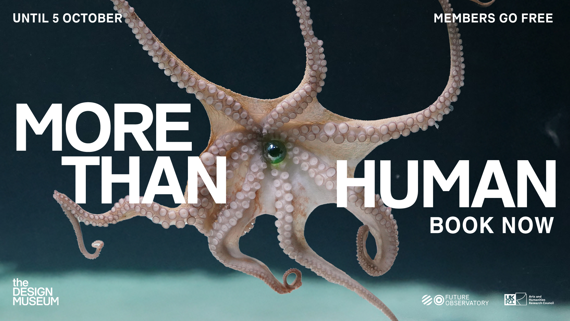 Design Museum: More Than Human