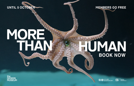 More Than Human